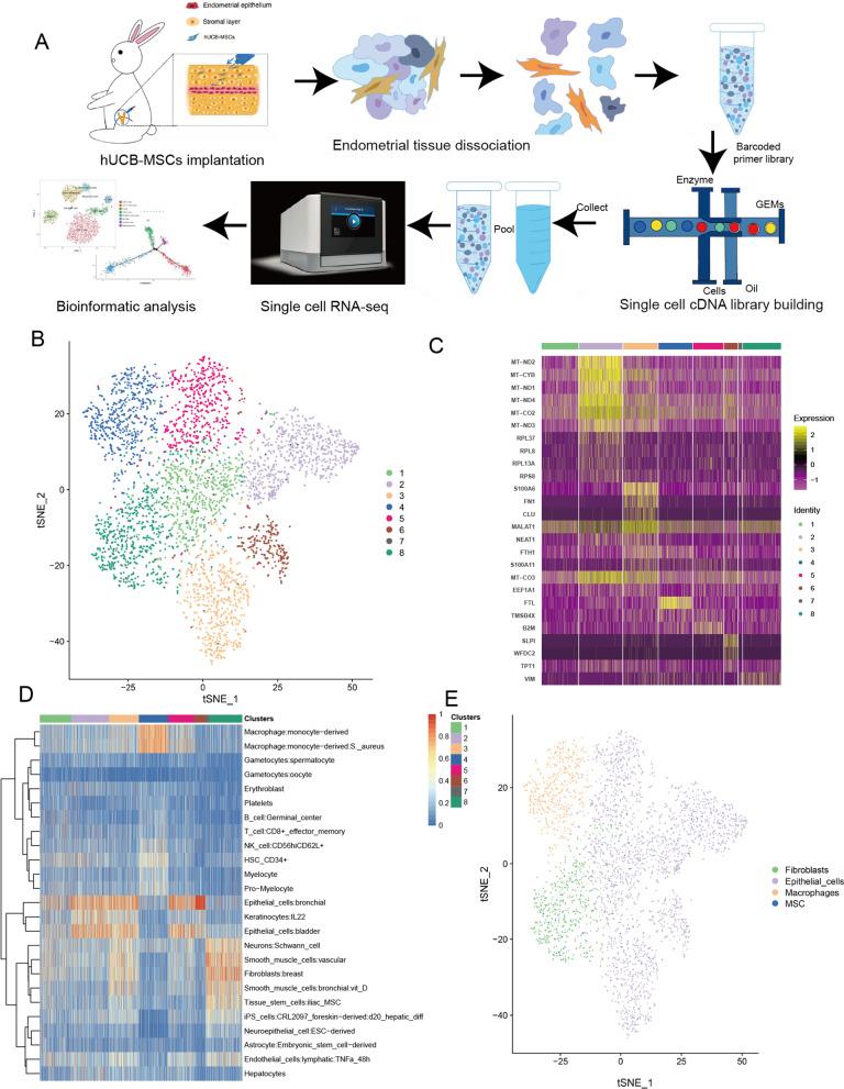 https://cdn.ncbi.nlm.nih.gov/pmc/blobs/3128/9284747/10bf8a25988c/13287_2022_2990_Fig4_HTML.jpg