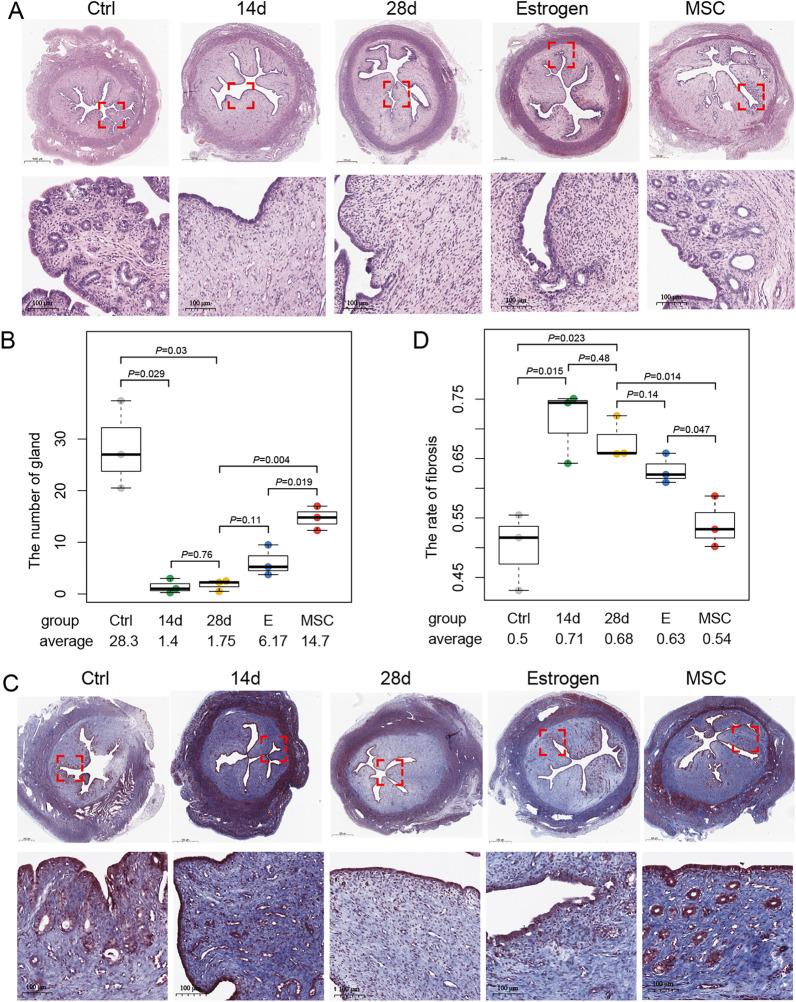 https://cdn.ncbi.nlm.nih.gov/pmc/blobs/3128/9284747/b920d6cfc0c8/13287_2022_2990_Fig2_HTML.jpg