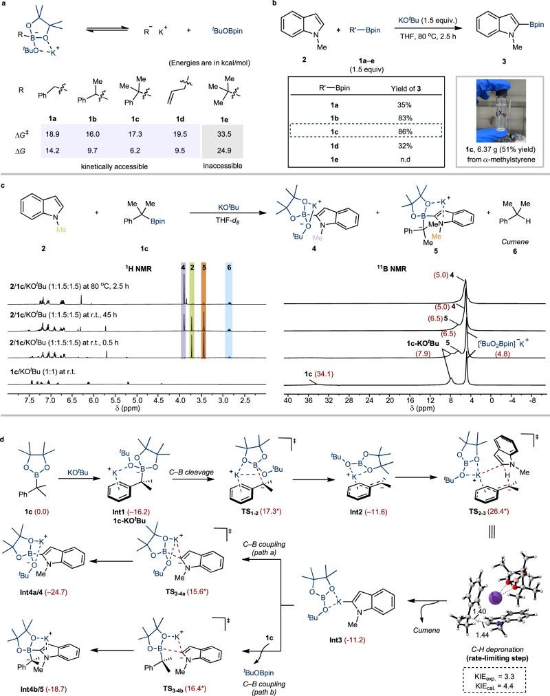 https://cdn.ncbi.nlm.nih.gov/pmc/blobs/312a/12216623/dda2b80e11cf/41467_2025_60674_Fig2_HTML.jpg