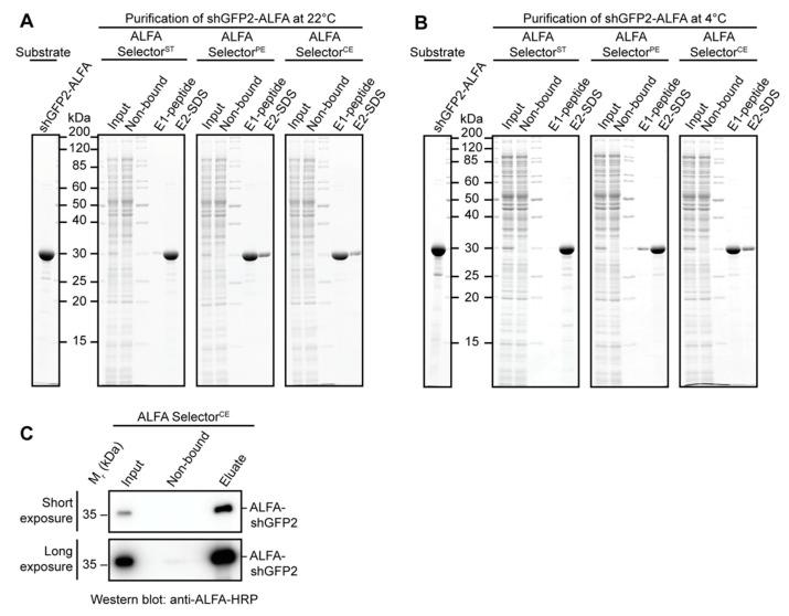 https://cdn.ncbi.nlm.nih.gov/pmc/blobs/312a/7918568/53408cebb96a/biomolecules-11-00269-g003.jpg