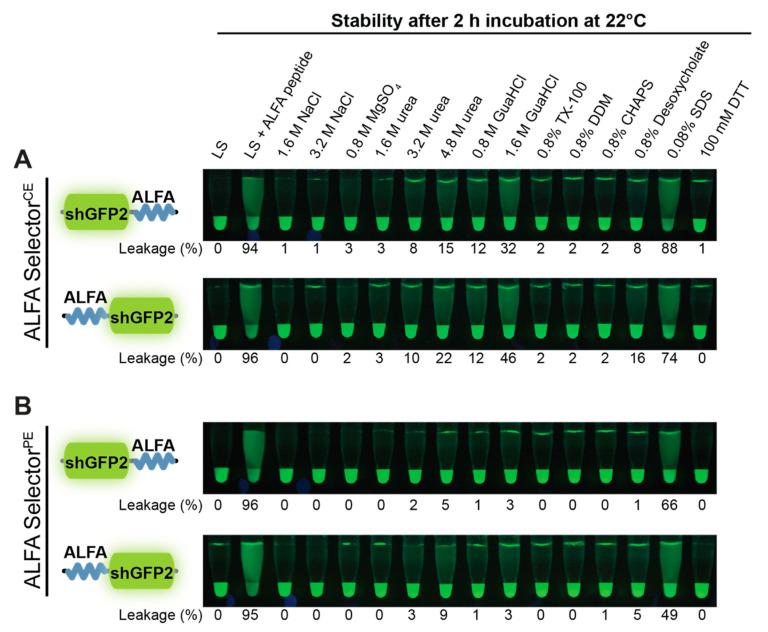 https://cdn.ncbi.nlm.nih.gov/pmc/blobs/312a/7918568/d39c4fd8be54/biomolecules-11-00269-g004.jpg