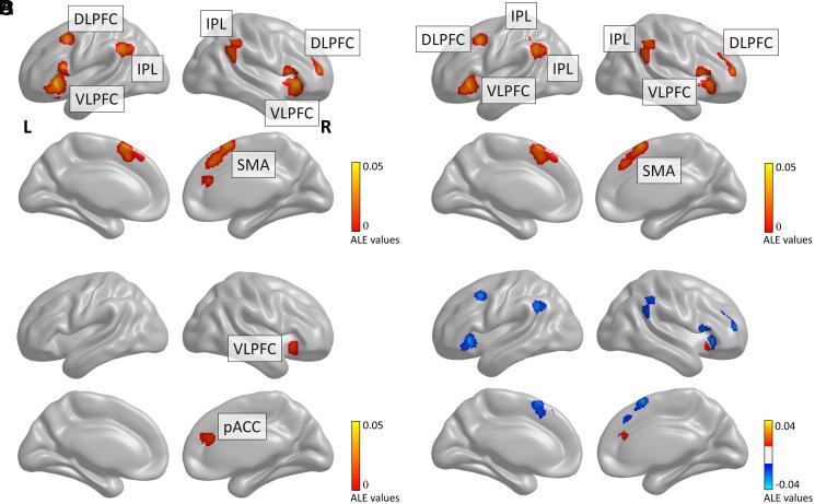 https://cdn.ncbi.nlm.nih.gov/pmc/blobs/312b/8639354/e57b061a41a7/pnas.202109208fig01.jpg