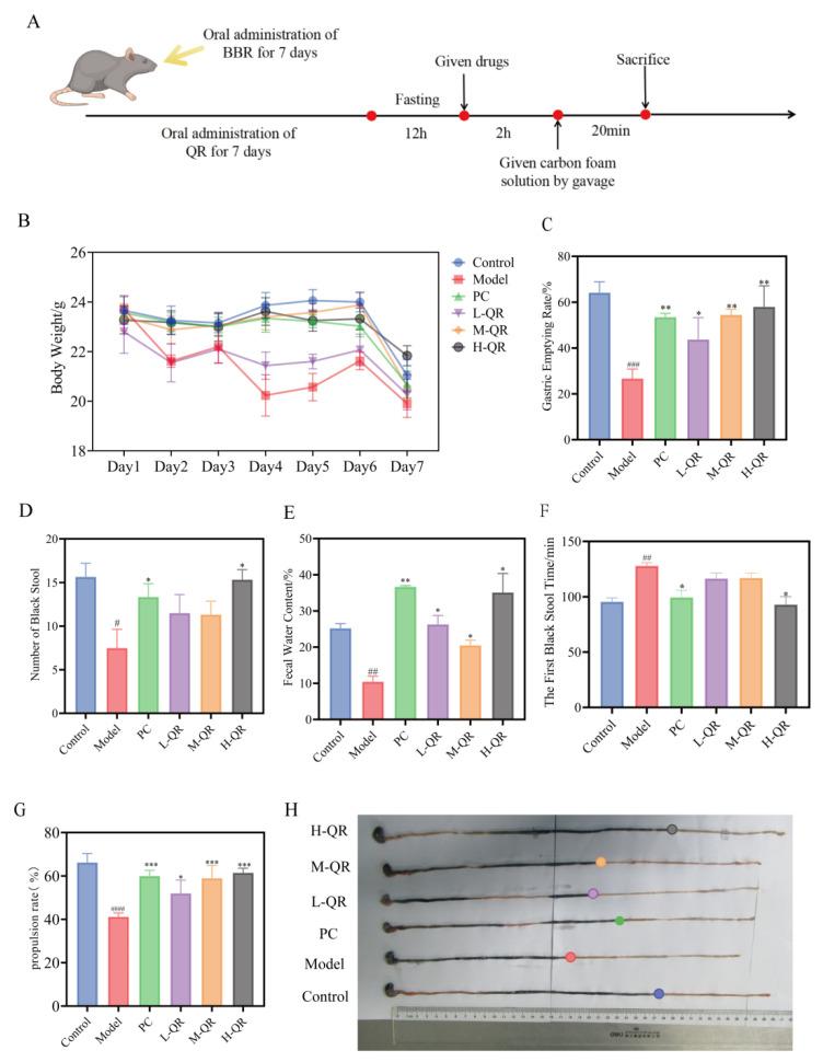 https://cdn.ncbi.nlm.nih.gov/pmc/blobs/312c/11173111/813377bff926/ijms-25-06228-g002.jpg
