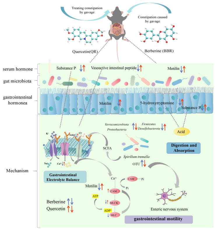 https://cdn.ncbi.nlm.nih.gov/pmc/blobs/312c/11173111/8dcfaabc2b78/ijms-25-06228-sch001.jpg
