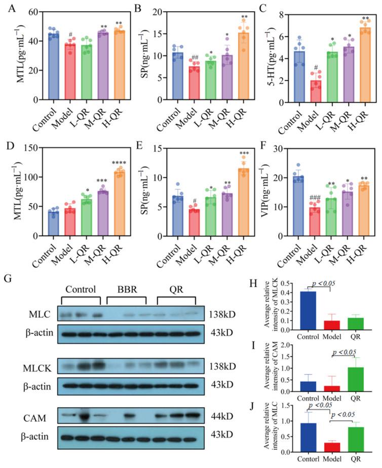 https://cdn.ncbi.nlm.nih.gov/pmc/blobs/312c/11173111/be81603e2317/ijms-25-06228-g006.jpg