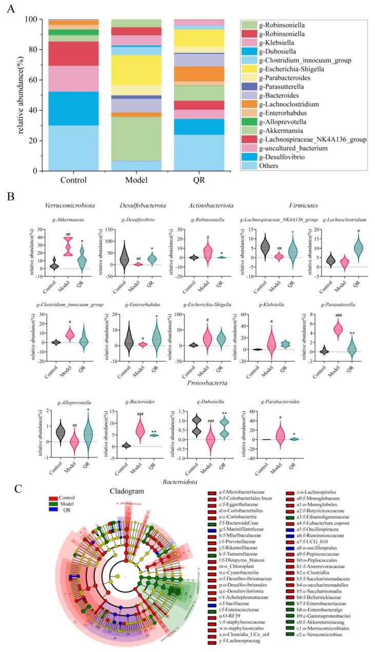 https://cdn.ncbi.nlm.nih.gov/pmc/blobs/312c/11173111/e9234d9ef041/ijms-25-06228-g005.jpg