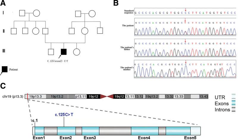 https://cdn.ncbi.nlm.nih.gov/pmc/blobs/312c/9646559/fa2b43fa6833/medi-101-e31357-g003.jpg