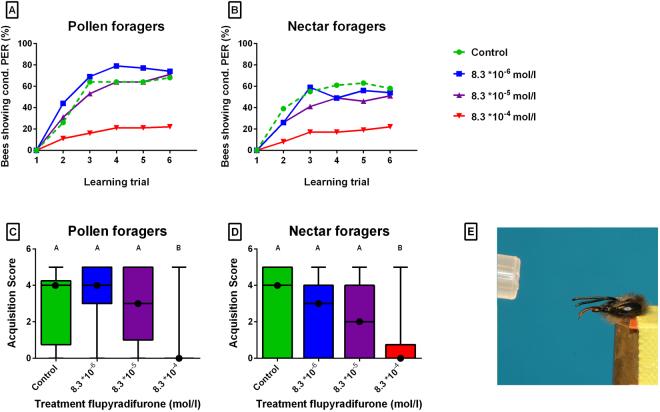 https://cdn.ncbi.nlm.nih.gov/pmc/blobs/312d/5862975/ac5103be74dd/41598_2018_23200_Fig2_HTML.jpg