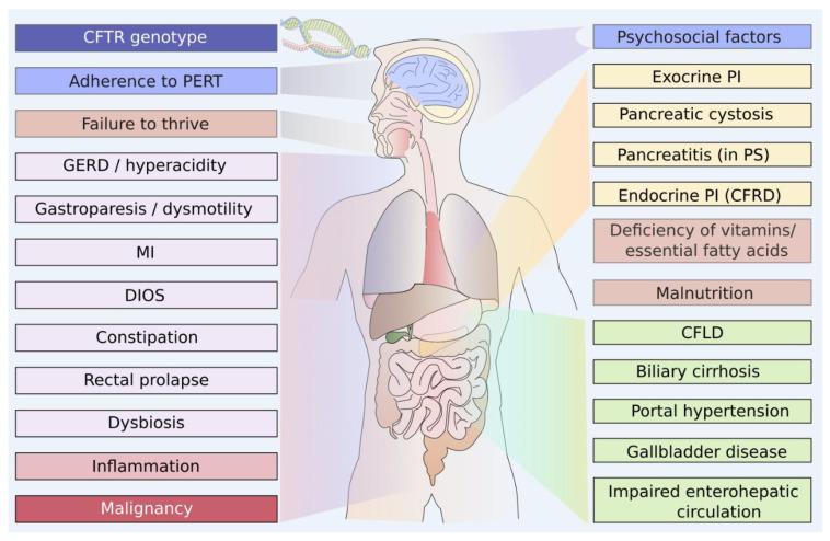 https://cdn.ncbi.nlm.nih.gov/pmc/blobs/312e/10971656/cfac0ba2d067/jcm-13-01650-g001.jpg
