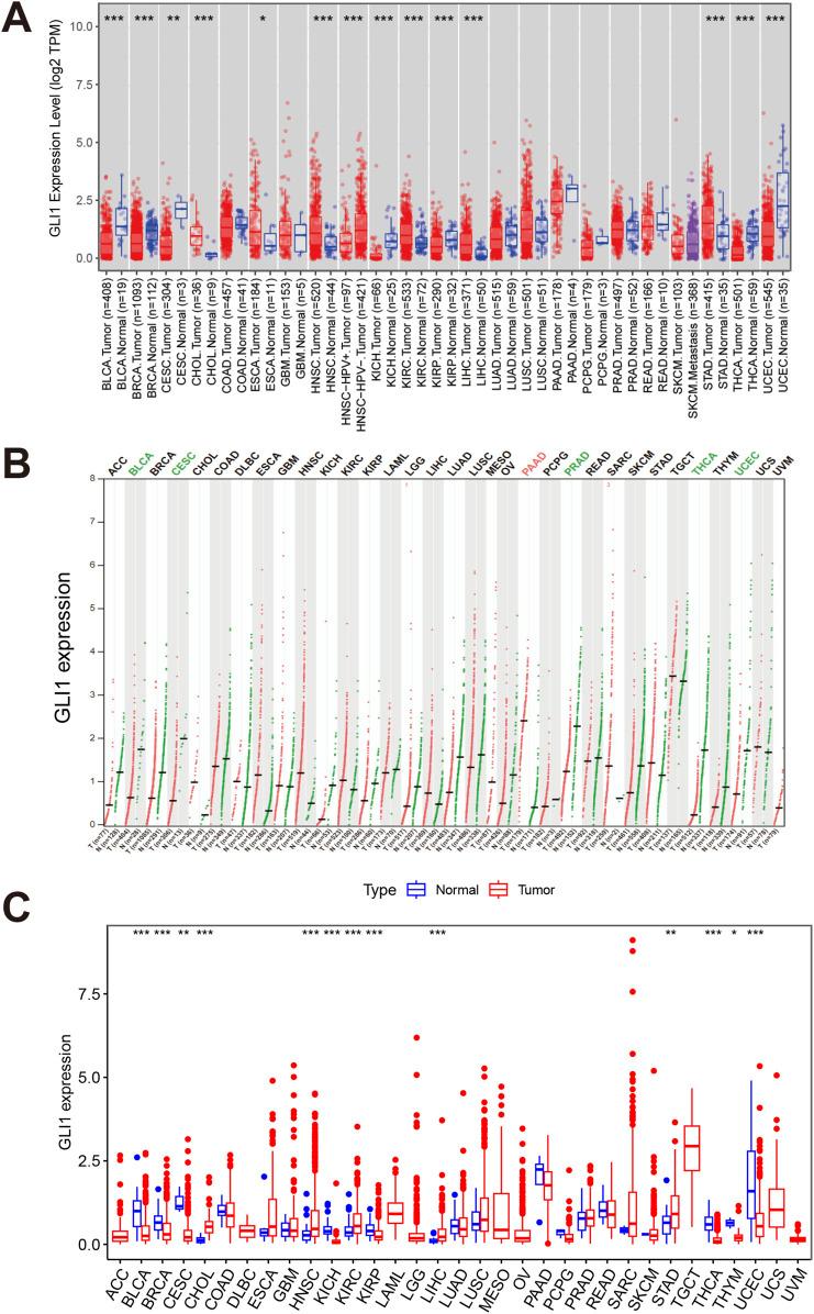 https://cdn.ncbi.nlm.nih.gov/pmc/blobs/3130/11524909/0a02640366e6/fcell-12-1478478-g001.jpg