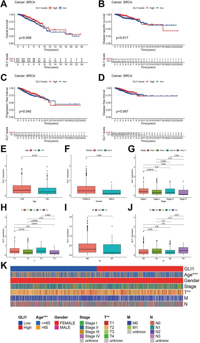 https://cdn.ncbi.nlm.nih.gov/pmc/blobs/3130/11524909/a6569c1c78dd/fcell-12-1478478-g003.jpg