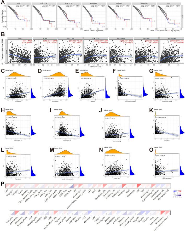 https://cdn.ncbi.nlm.nih.gov/pmc/blobs/3130/11524909/ff32854cd890/fcell-12-1478478-g004.jpg