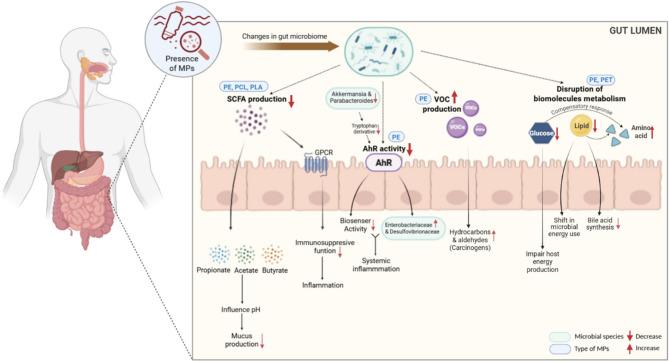 https://cdn.ncbi.nlm.nih.gov/pmc/blobs/3130/12351775/404692b9b4fa/12876_2025_4140_Fig2_HTML.jpg