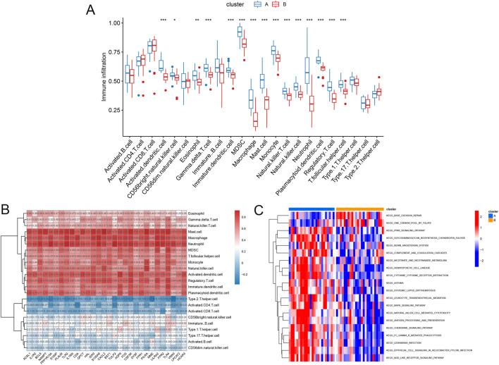https://cdn.ncbi.nlm.nih.gov/pmc/blobs/3130/12371120/1df5abdfaf99/fmolb-12-1614350-g007.jpg