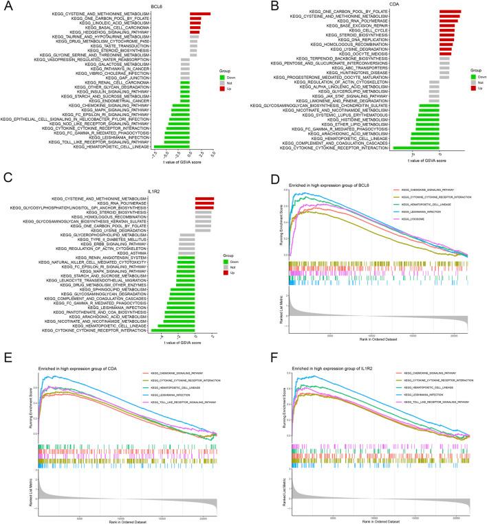 https://cdn.ncbi.nlm.nih.gov/pmc/blobs/3130/12371120/3cf522a90d29/fmolb-12-1614350-g010.jpg