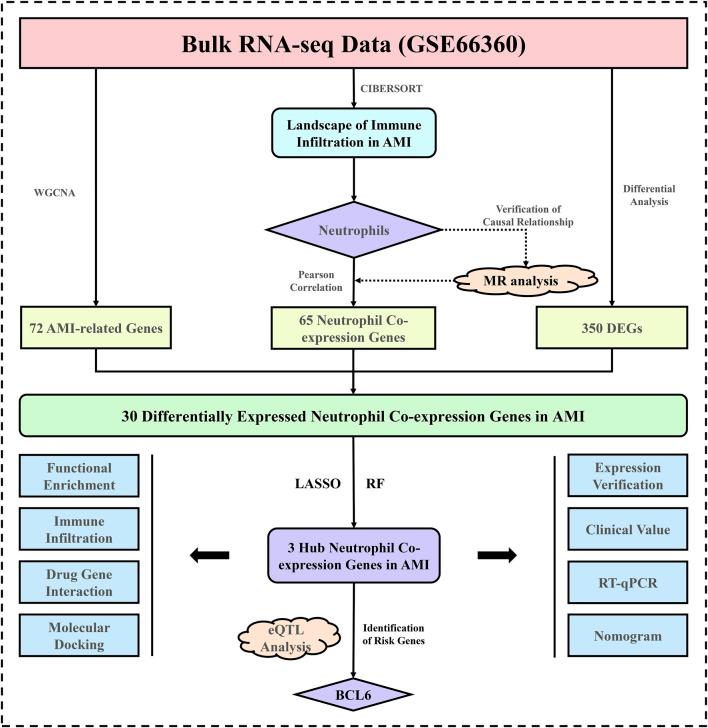 https://cdn.ncbi.nlm.nih.gov/pmc/blobs/3130/12371120/6a7b70147cce/fmolb-12-1614350-g001.jpg