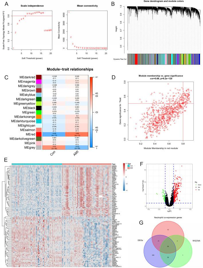 https://cdn.ncbi.nlm.nih.gov/pmc/blobs/3130/12371120/de31734f70d2/fmolb-12-1614350-g005.jpg