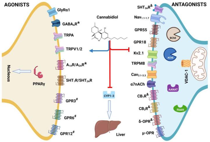 https://cdn.ncbi.nlm.nih.gov/pmc/blobs/3132/10096752/9a546f91d6a4/molecules-28-03271-g003.jpg