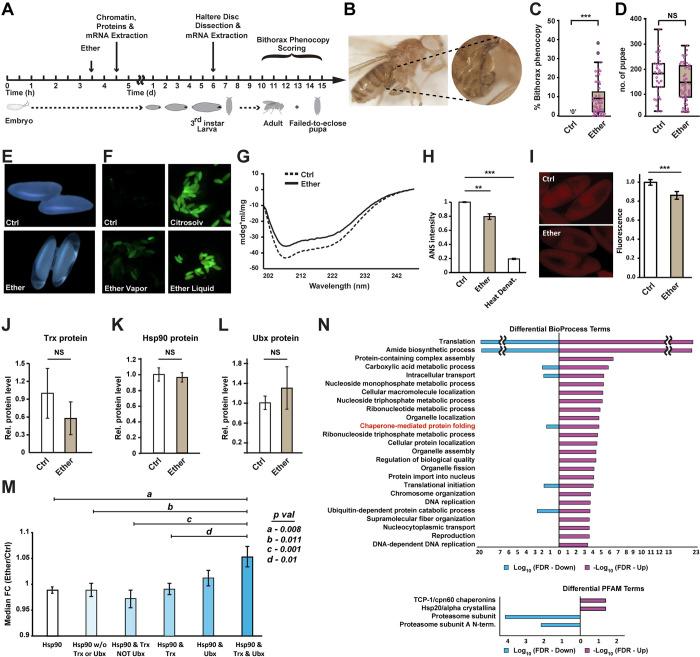 https://cdn.ncbi.nlm.nih.gov/pmc/blobs/3132/11161060/2edb51a6da9b/pbio.3002629.g001.jpg