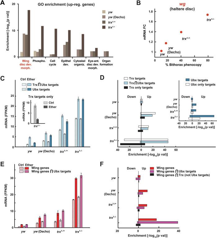 https://cdn.ncbi.nlm.nih.gov/pmc/blobs/3132/11161060/7fdf344a9dc5/pbio.3002629.g004.jpg