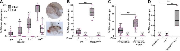 https://cdn.ncbi.nlm.nih.gov/pmc/blobs/3132/11161060/813d79fee1ae/pbio.3002629.g002.jpg