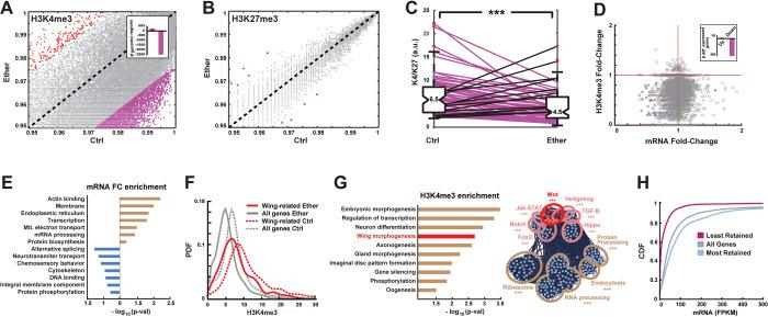 https://cdn.ncbi.nlm.nih.gov/pmc/blobs/3132/11161060/b3215fafc3e4/pbio.3002629.g003.jpg