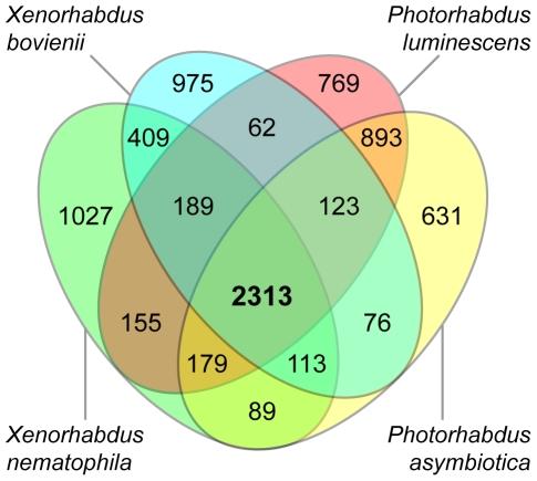 https://cdn.ncbi.nlm.nih.gov/pmc/blobs/3135/3220699/54440bc13923/pone.0027909.g003.jpg