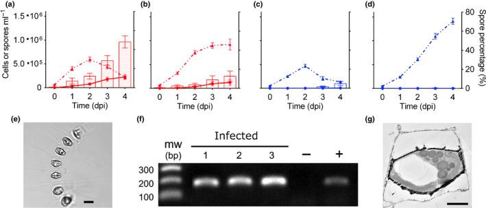 https://cdn.ncbi.nlm.nih.gov/pmc/blobs/3136/7894508/174793288f74/NPH-229-2251-g003.jpg