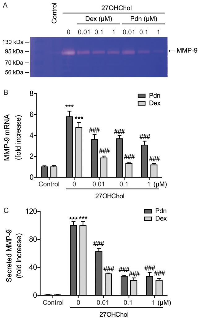 https://cdn.ncbi.nlm.nih.gov/pmc/blobs/3137/7041177/8858613539be/etm-19-03-2335-g03.jpg
