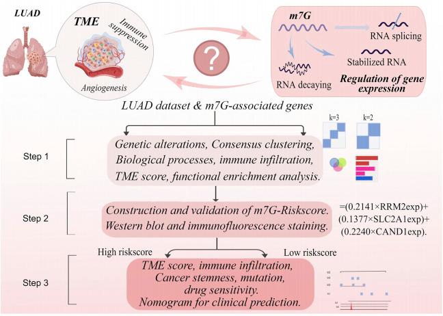 https://cdn.ncbi.nlm.nih.gov/pmc/blobs/3138/9422053/49914972228d/fgene-13-954840-g001.jpg