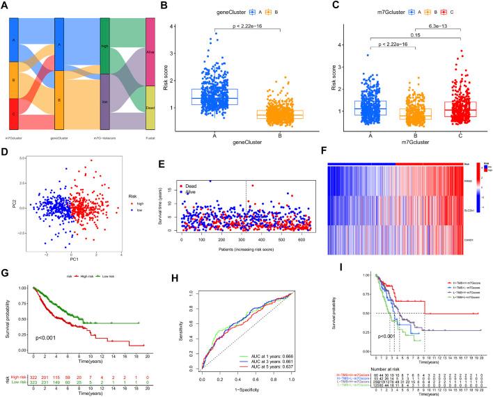 https://cdn.ncbi.nlm.nih.gov/pmc/blobs/3138/9422053/8816c9e864ac/fgene-13-954840-g006.jpg