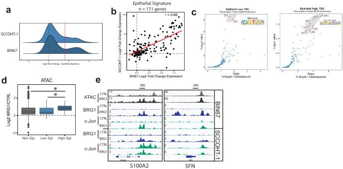 https://cdn.ncbi.nlm.nih.gov/pmc/blobs/3139/7813545/207e1aa77a50/elife-59073-fig5.jpg
