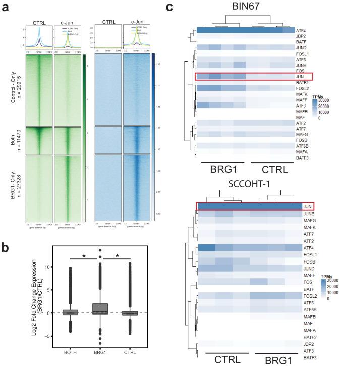 https://cdn.ncbi.nlm.nih.gov/pmc/blobs/3139/7813545/31bff38d831c/elife-59073-fig4-figsupp1.jpg