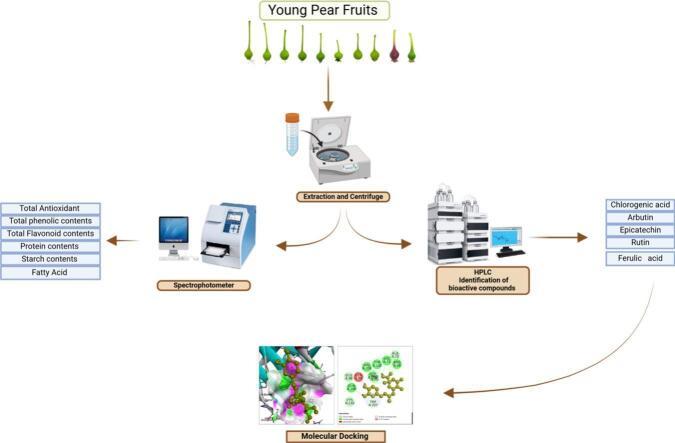 https://cdn.ncbi.nlm.nih.gov/pmc/blobs/313b/11647471/34b19bceadd8/ga1.jpg