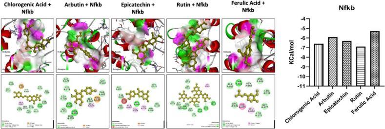 https://cdn.ncbi.nlm.nih.gov/pmc/blobs/313b/11647471/8bb3f5e86412/gr4.jpg