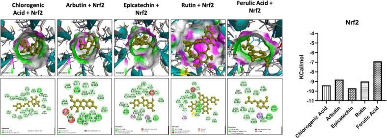 https://cdn.ncbi.nlm.nih.gov/pmc/blobs/313b/11647471/98a81cac2525/gr5.jpg