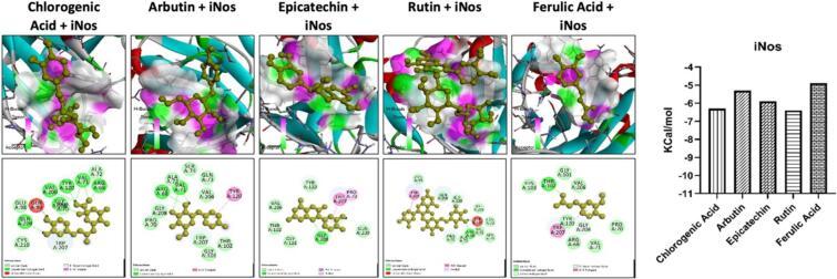 https://cdn.ncbi.nlm.nih.gov/pmc/blobs/313b/11647471/99407ed56e26/gr3.jpg