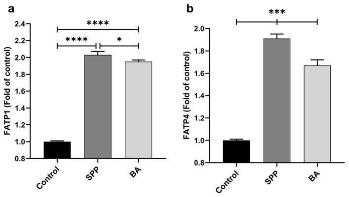 https://cdn.ncbi.nlm.nih.gov/pmc/blobs/3142/10387887/efb06d2cf948/turkjmedsci-53-3-619f4.jpg