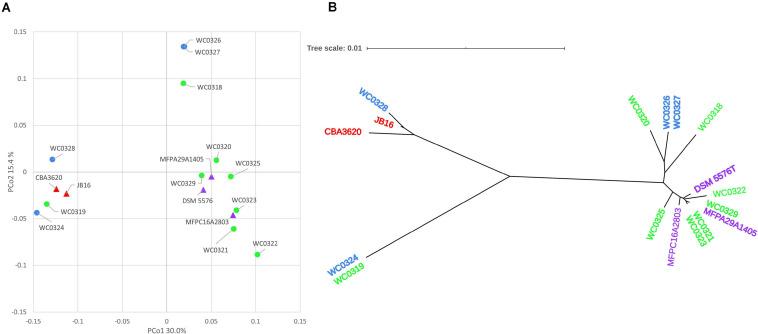 https://cdn.ncbi.nlm.nih.gov/pmc/blobs/3142/7829361/4a60c6b11442/fmicb-11-605127-g002.jpg