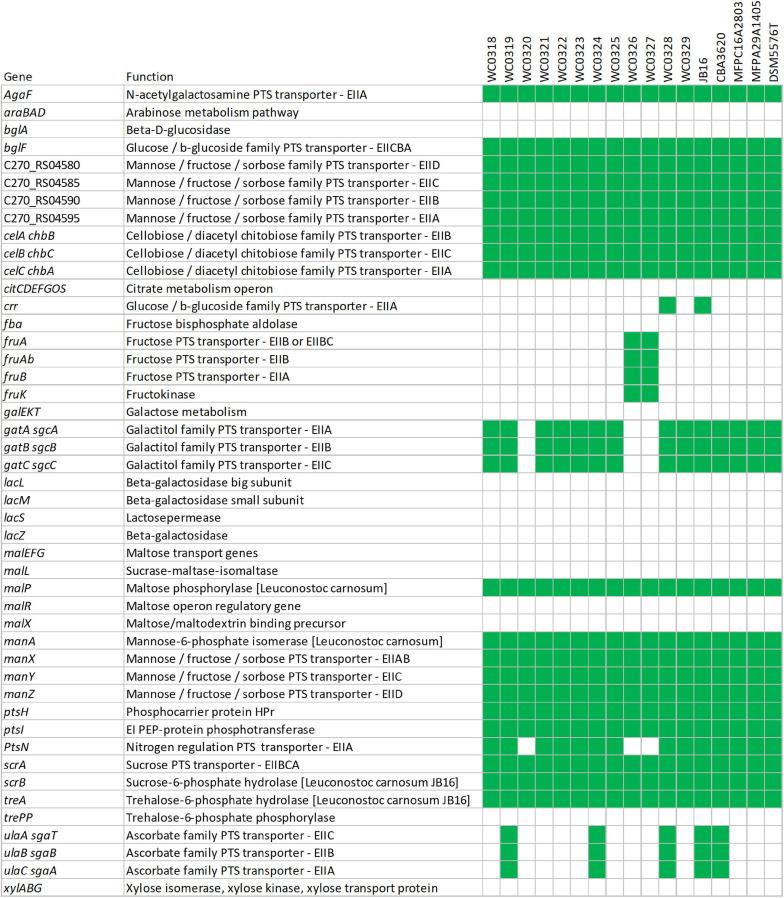 https://cdn.ncbi.nlm.nih.gov/pmc/blobs/3142/7829361/bc3d06c75d39/fmicb-11-605127-g005.jpg