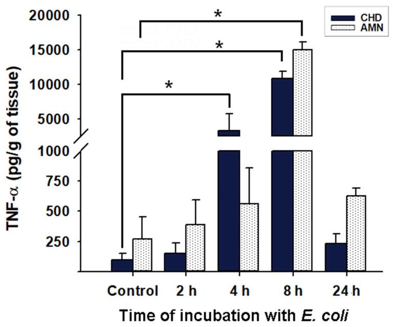 https://cdn.ncbi.nlm.nih.gov/pmc/blobs/3143/8949057/6c29cbf9bd63/ijms-23-02994-g002.jpg