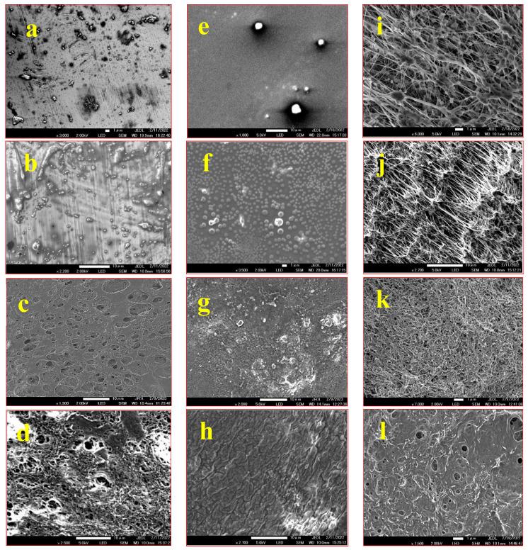 https://cdn.ncbi.nlm.nih.gov/pmc/blobs/3145/10745810/aa8bc5adf76c/nanomaterials-13-03138-g003.jpg