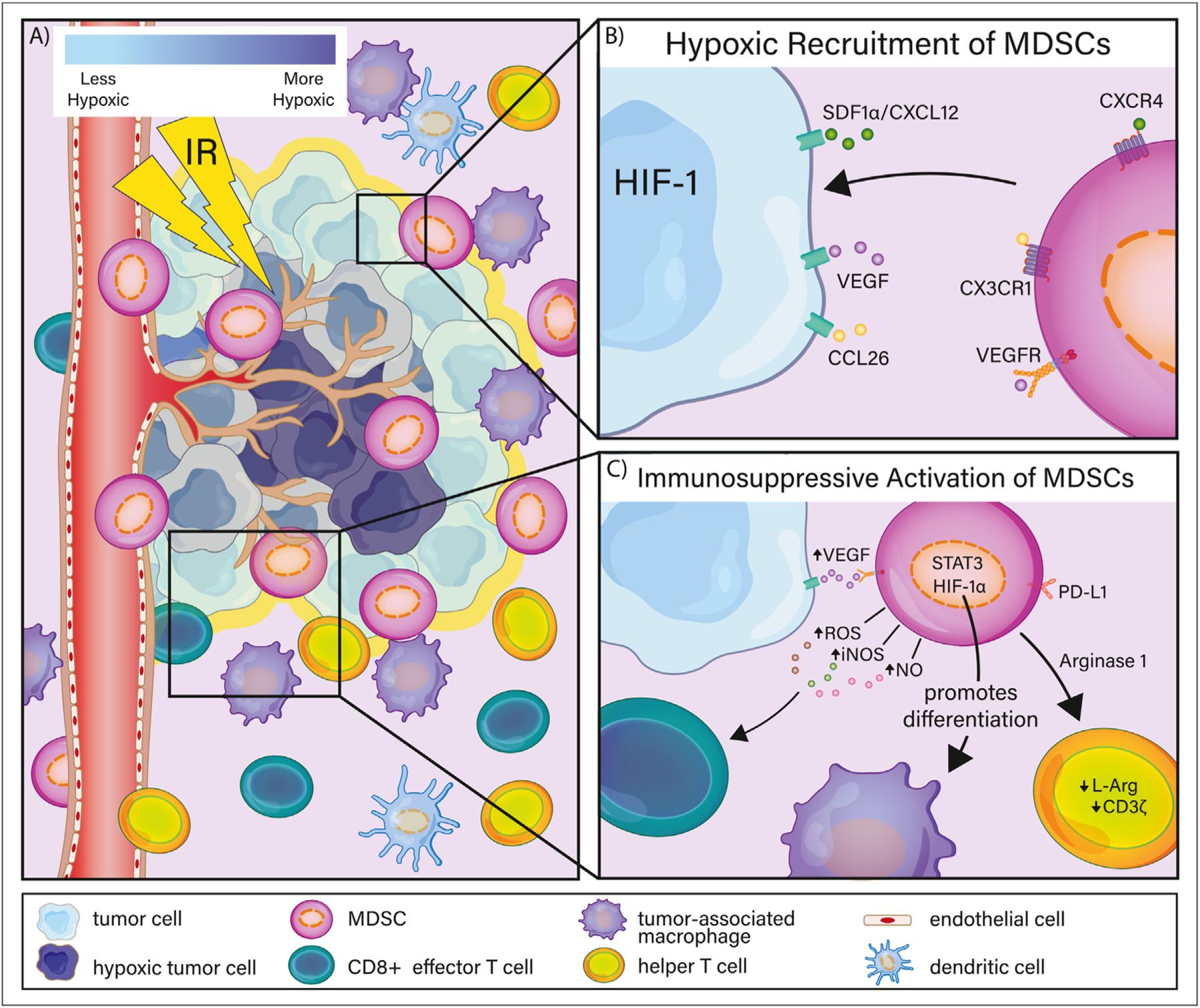 https://cdn.ncbi.nlm.nih.gov/pmc/blobs/3145/11082936/7b9dacfd6a78/nihms-1985075-f0002.jpg