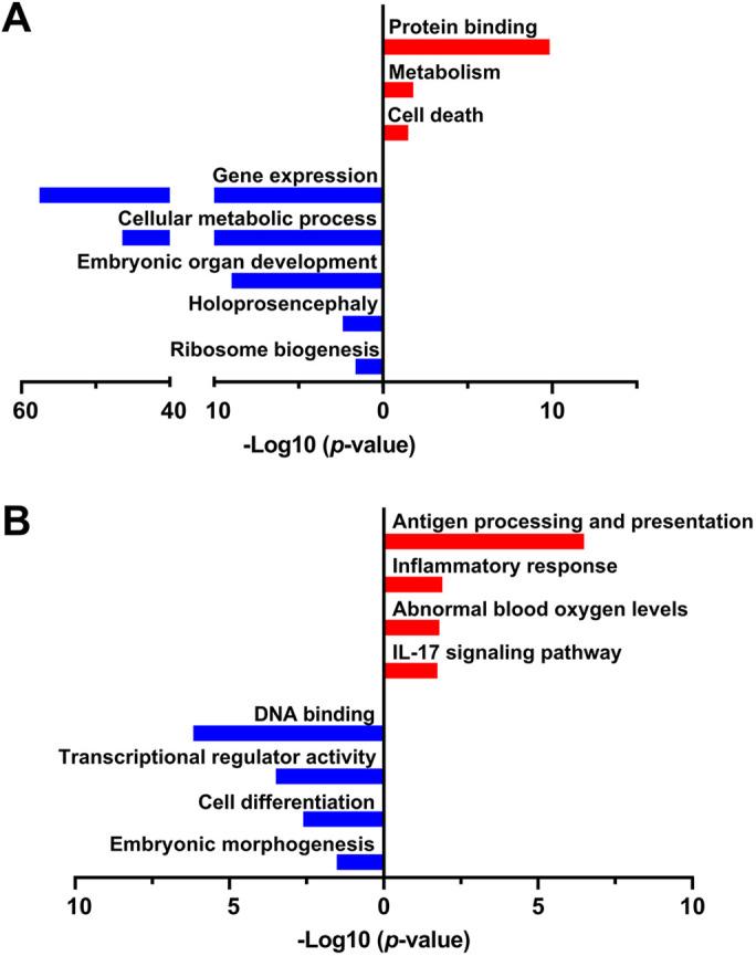 https://cdn.ncbi.nlm.nih.gov/pmc/blobs/3147/8246266/64f778c8d904/dmm-14-049012-g6.jpg