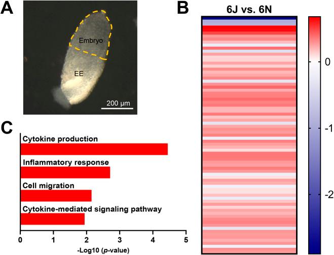 https://cdn.ncbi.nlm.nih.gov/pmc/blobs/3147/8246266/7018f4695808/dmm-14-049012-g2.jpg