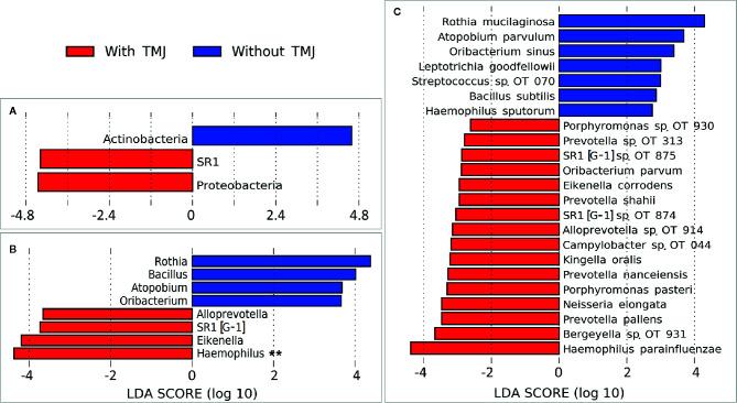 https://cdn.ncbi.nlm.nih.gov/pmc/blobs/3148/7672027/5dc87206468c/fcimb-10-602239-g006.jpg