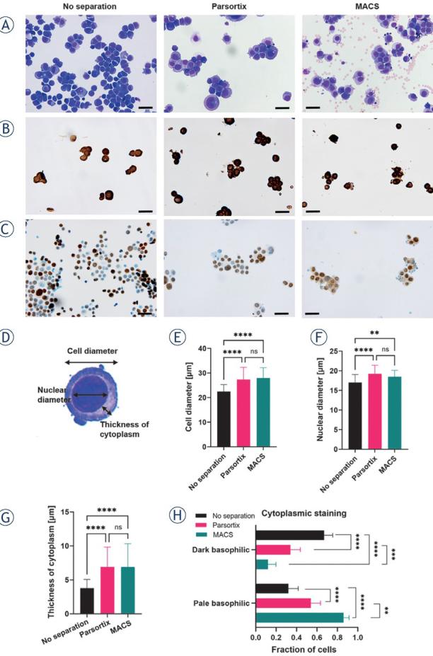 https://cdn.ncbi.nlm.nih.gov/pmc/blobs/314a/8366726/5c8801a03101/raon-55-292-g002.jpg