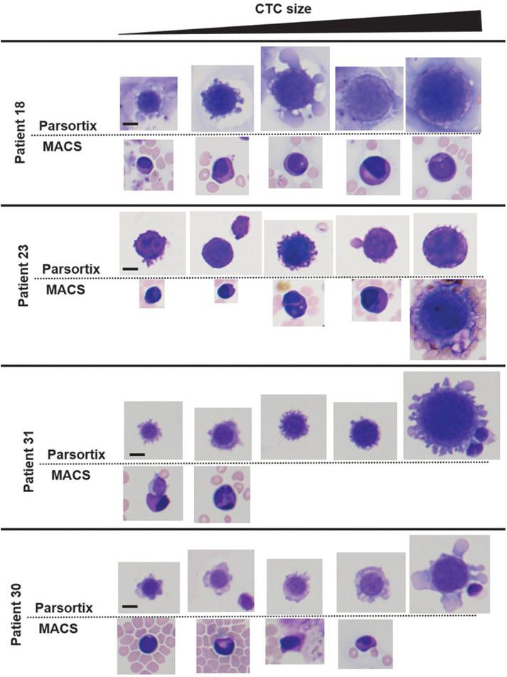 https://cdn.ncbi.nlm.nih.gov/pmc/blobs/314a/8366726/b9c38024ba45/raon-55-292-g006.jpg