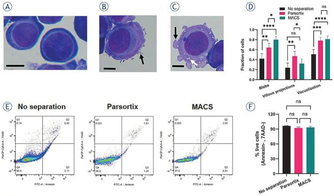 https://cdn.ncbi.nlm.nih.gov/pmc/blobs/314a/8366726/ce3e9f7ec7ac/raon-55-292-g003.jpg