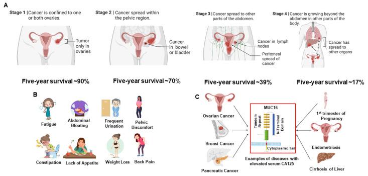 https://cdn.ncbi.nlm.nih.gov/pmc/blobs/314b/11048585/bf3c0c922bcf/cancers-16-01560-g001.jpg